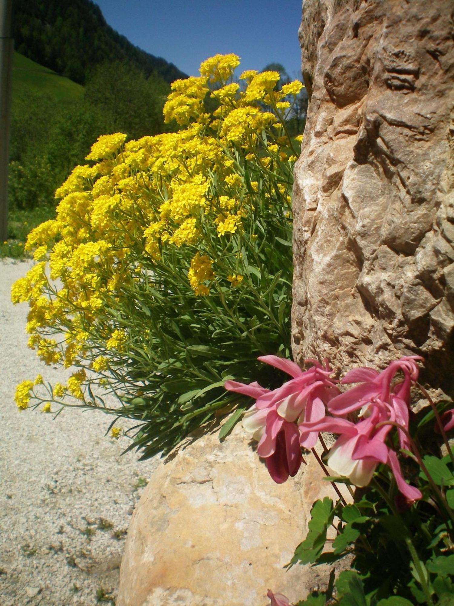 Villa Otto Santa Cristina Val Gardena Ngoại thất bức ảnh