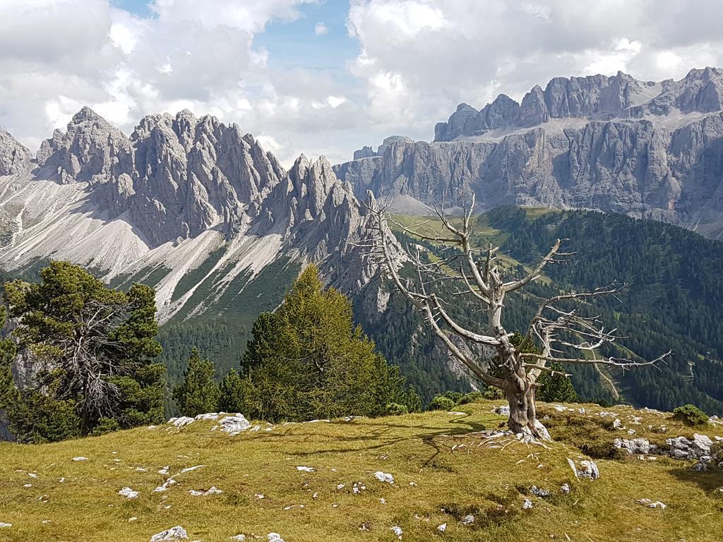 Villa Otto Santa Cristina Val Gardena Ngoại thất bức ảnh